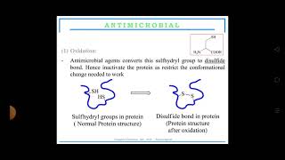 mechanism of action for antimicrobial agents By Ms Deepika [upl. by Eylsel]