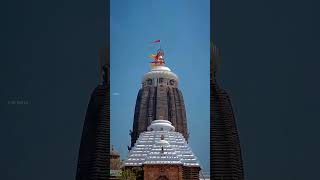 Tu thaka thakura odiabhjan new jagannath status [upl. by Yedrahs]