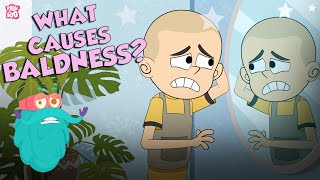 What Causes Baldness  Causes Of Hair Loss  The Dr Binocs Show  Peekaboo Kidz [upl. by Stanhope598]