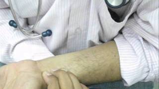 3 Finger Palpation of Radial Pulse [upl. by Rad]