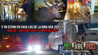 YA ESTÁN EN CASA LOS DE LA GIRA USA 2022 MAS DE 1800 KMS PARA LLEGAR A MÉXICO  ASÍ LOS PRUEBAN [upl. by Hough101]