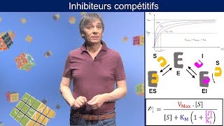 Enzymologie  Inhibiteurs compétitifs [upl. by Julianne]