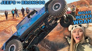 FORD BRONCOS vs JEEP WRANGLERS vs JEEP GLADIATORS Off Road [upl. by Elleuqram]