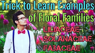 Amazing Tricks to Learn Examples of Families Solanaceae Liliaceae amp Fabaceae  NCERT Mnemonics [upl. by Alcock]