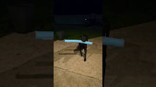 Presa Canario Vs Pool Noodle 🍜 [upl. by Ahsitam]