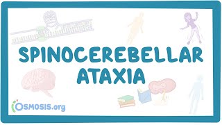 Spinocerebellar ataxia  causes symptoms diagnosis treatment pathology [upl. by Hinze629]