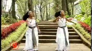 Halloo Daawwee Obboleeysi Oromo Music [upl. by Frasch516]