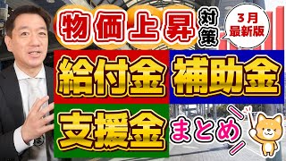 【3月度 物価高騰 給付金・補助金・支援金まとめ】最大500万円等 都道府県別 個人事業主・小規模向け 電気・燃料・LPガス補助 医療・介護・運送事業者等  厚労省支援策〈24年3月時点〉 [upl. by Doug]