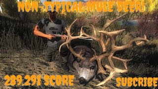 MY FIRST NONTYPICAL MULE DEER  thehunter Classic [upl. by Roch]