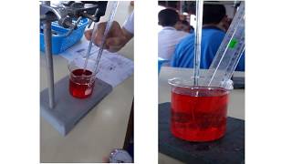 studying osmosis using osmometer [upl. by Notsae]