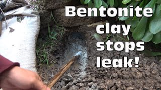 Stop flooding with Bentonite clay Plug that gopher hole [upl. by Anders]