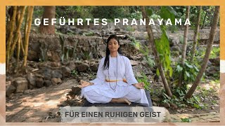 Geführtes Pranayama für einen ruhigen Geist  SRMD Yoga  SRMD German [upl. by Sgninnej]