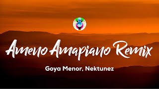 Goya Menor Nektunez – Ameno Amapiano Remix you want to bamba you want to chill with the big boys [upl. by Reyotal]