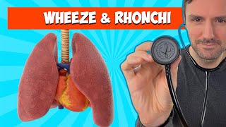 Wheeze and Rhonchi 🩺 🫁 Lung Sounds For Beginners 🔥🔥🔥 [upl. by Ten713]