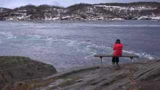 Saltstraumen Bodø Norway [upl. by Tutankhamen]