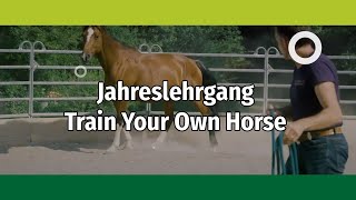 Lehrgang  Bodenarbeit und Horsemanship quottrain your own horsequot mit Zertifikat [upl. by Verina797]