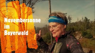 Novembersonne  Die Gäuhexe geht laufen im Bayerwald2 Trailrunning [upl. by Enaud257]