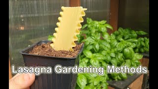 Lasagna Gardening How To On An Existing Veggie Bed [upl. by Libove75]