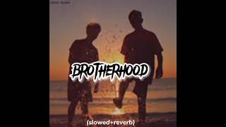 brotherhood song slowed and reverb trend fypシ 1 mujtaba jutttypist 100k vairalvideo [upl. by Niloc]