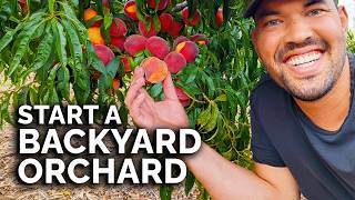 How to Start a Backyard Orchard COMPLETE GUIDE [upl. by Letti235]