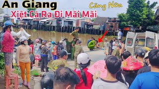 An Giang lại CĂNG ông lão 62T xiệt cá ra đi mãi mãi chỉ vì vài chục ngàn mưu sinh [upl. by Balfour671]