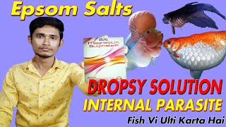 Epsom salt for fish treatment  Fish dropsy  dropsy treatment [upl. by Alesandrini616]