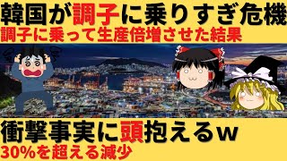 【ゆっくり解説】韓国が調子に乗って生産を増やした結果大失態が発生ｗ [upl. by Hussein]