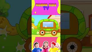 Turtle Bus  Funny Kids Songs amp Nursery Rhymes by Nomad Kids shorts kidsongs [upl. by Yeslehc125]