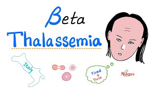 Beta Thalassemia  Causes and Types  minor Major amp Intermedia  Hematology [upl. by Maisey]