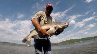 Catfishing  Catching Big Blue Catfish From The Bank Lake Guntersville [upl. by Sumetra264]