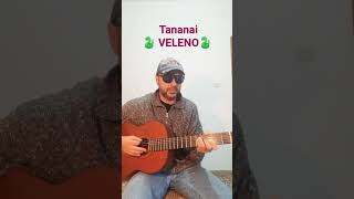 Tananai VELENO  Cover con accordi [upl. by Esertak]