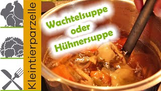 Wachtelsuppe aus 5 Wachteln  Leckere einfache Hühnersuppe  Fleischbrühe für WachtelFrikassee [upl. by Enialahs]