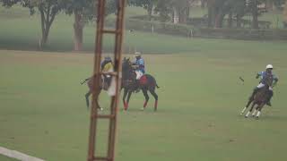 SEMIFINALS HABANOS CAVALRY GOLD CUP  JINDAL PANTHER vs DELTA POLO [upl. by Rome]