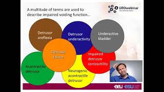 Urowebinar Underactive bladder  The story so far [upl. by Kcirrad361]