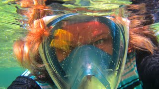 Snorkeling in Cuba Memories Jibacoa resort [upl. by Lesley377]