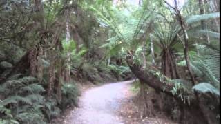 1000 steps Kokoda Track Memorial Walk Upper Ferntree Gully [upl. by Odnavres]