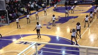 PAINE COLLEGE Mahogany Essence Dance Team Homecoming 2016 Half Time Performance [upl. by Thackeray505]