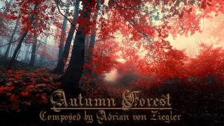 Relaxing Celtic Music  Autumn Forest [upl. by Breeze823]