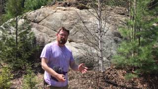 Archean rocks at Craig Lake State Park in the UP of MI [upl. by Imoan]