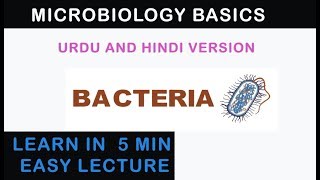 Bacteria Introduction Basic Microbiology  Urdu and Hindi Version [upl. by Akcired929]