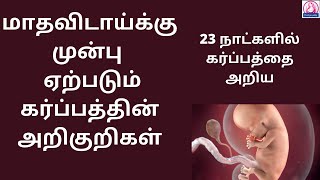 Early pregnancy symptoms before missed periods in Tamil  pregnancy symptoms in Tamil l MalligaTamil [upl. by Otiragram]