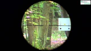 Burris Four X 312x56 Reticle 4LP  Optics Trade Reticle Subtensions [upl. by Nilhtac]