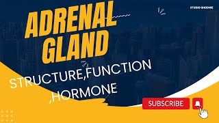 Adrenal GlandAdrenaline Noradrenaline HormoneGlucocorticoid Mineralocorticoid Androgen [upl. by Federico]