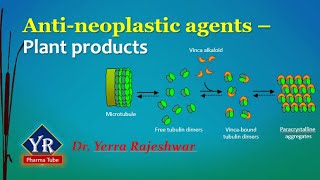 Antineoplastic agents  Plant products  Etoposide  Vinblastine  Vincristine  YR Pharma Tube [upl. by Kalasky53]