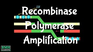 Recombinase Polymerase Amplification  RPA  RPA Vs PCR Difference [upl. by Padgett]