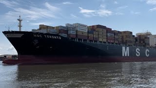 Ship Spotting MSC Toronto [upl. by Ellehcil]