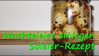 Wachtelfarm 98  Wachteleier einlegen Soleier selber machen [upl. by Refeinnej857]