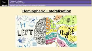 ALevel Psychology AQA Biopsychology  Hemispheric Lateralisation and Split Brain Research [upl. by Scott]