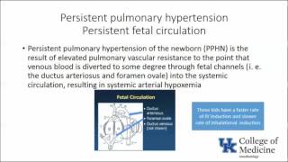 Keyword Review Pediatric Anesthesia Part 1  Dr Reddy [upl. by Filide158]