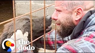 Guy Rescues Hundreds Of Dogs From City Shelters  The Dodo [upl. by Enilemme]